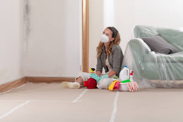 Reliable Mold Remediation contractor in Port Orchard, WA by Car Mold Remediation